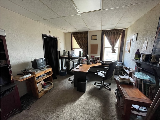 office with a paneled ceiling and carpet