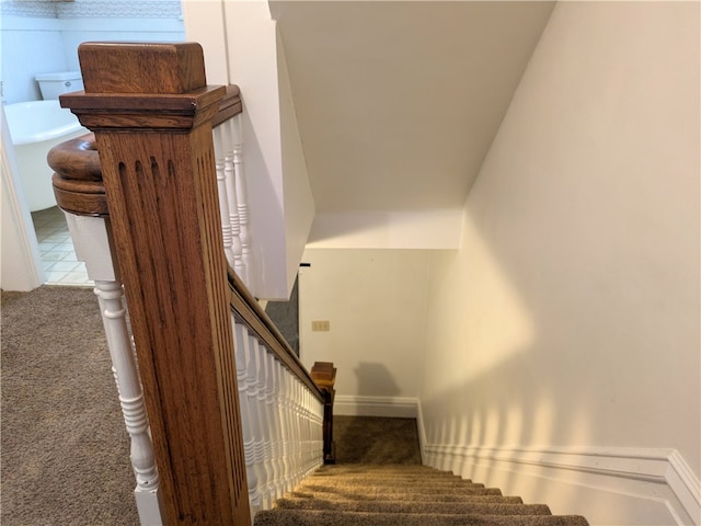 stairs with carpet flooring