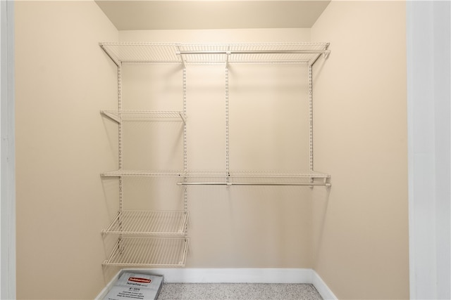 view of walk in closet