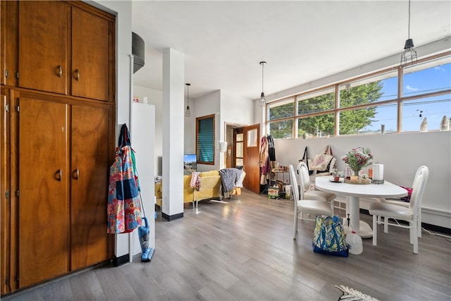 dining space with hardwood / wood-style flooring