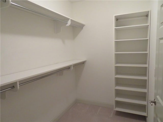 spacious closet featuring carpet floors