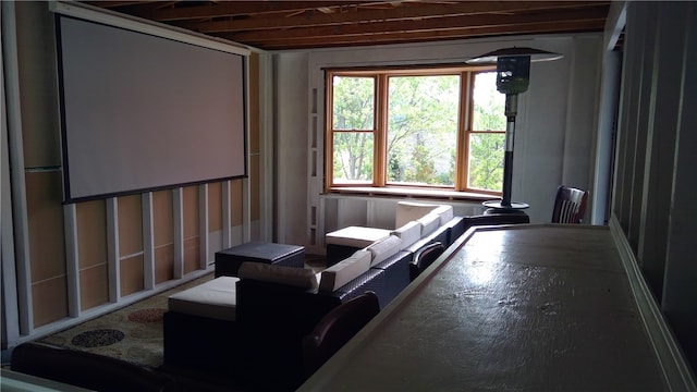 view of cinema room