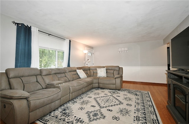 living room featuring hardwood / wood-style flooring