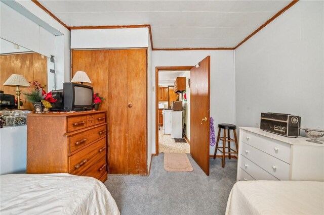 carpeted bedroom featuring a closet and crown molding