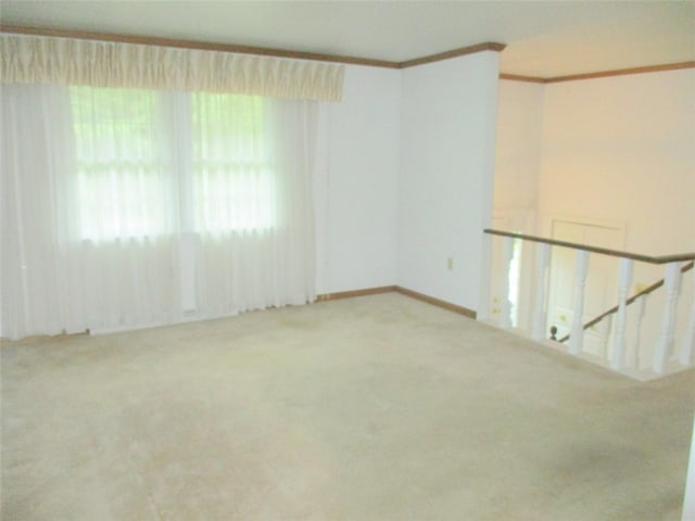 empty room featuring crown molding and carpet flooring