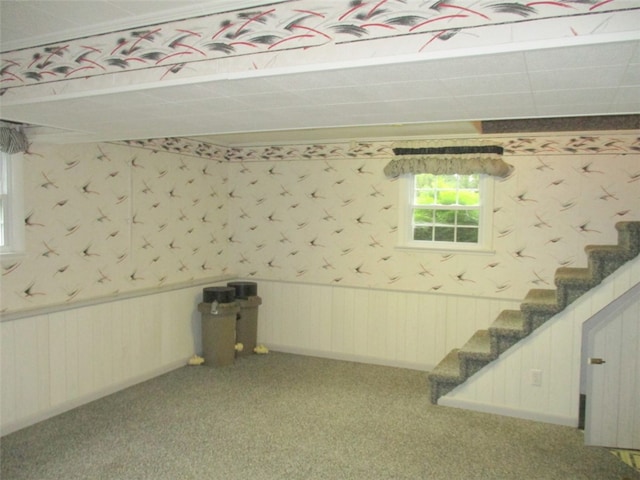 basement featuring carpet flooring