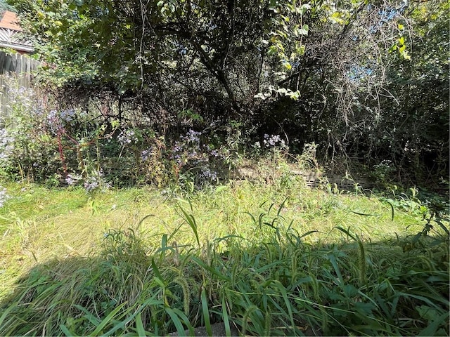 2323 Patterson Ave, Swissvale, PA 15218 - view of local wilderness