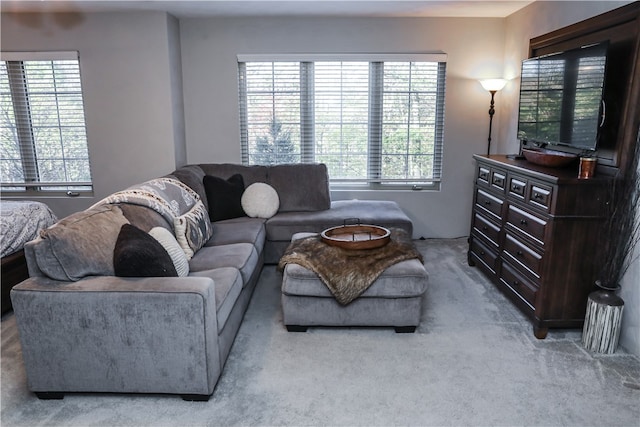 carpeted living room featuring a healthy amount of sunlight