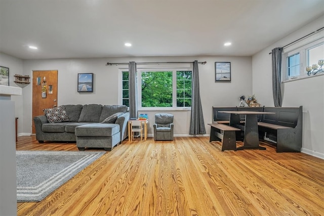 living room featuring a wealth of natural light and light hardwood / wood-style floors