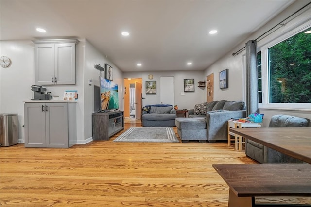 living room with light hardwood / wood-style flooring