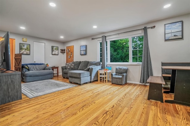 living room featuring light hardwood / wood-style floors