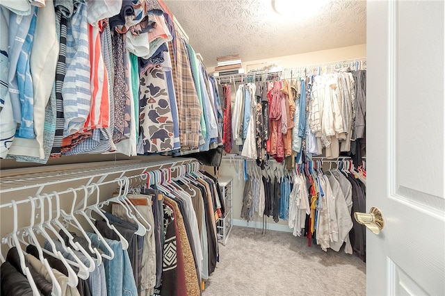 walk in closet featuring carpet