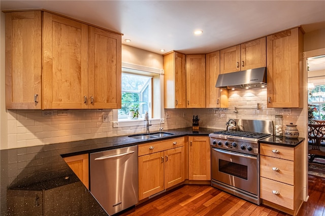 kitchen with backsplash, appliances with stainless steel finishes, dark hardwood / wood-style floors, and sink