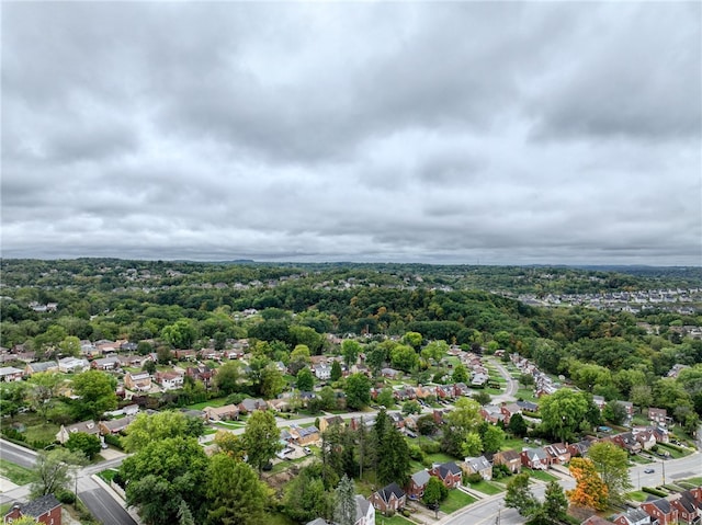 bird's eye view