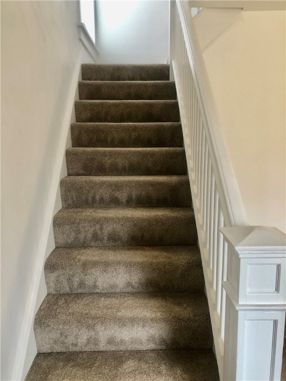 stairway featuring carpet flooring