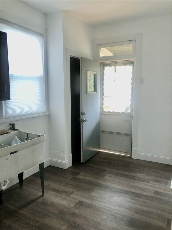 doorway featuring dark wood-type flooring and a wealth of natural light