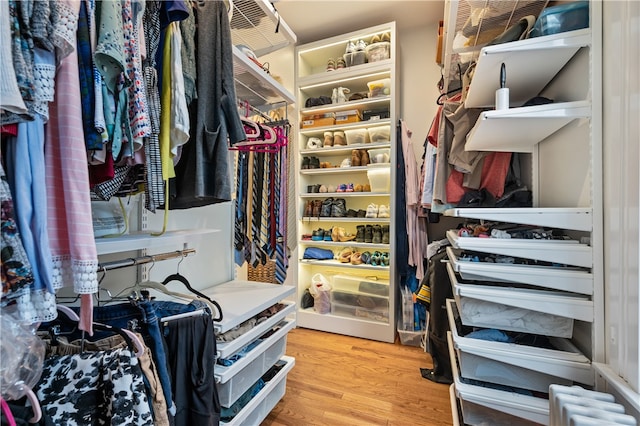 spacious closet featuring radiator and hardwood / wood-style flooring