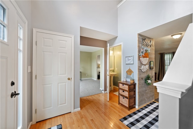 foyer entrance with light hardwood / wood-style flooring and plenty of natural light