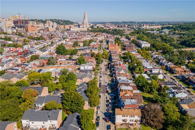 bird's eye view