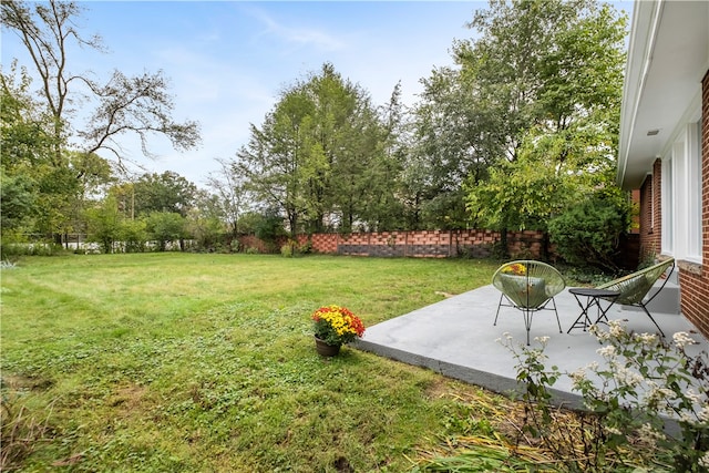 view of yard featuring a patio area