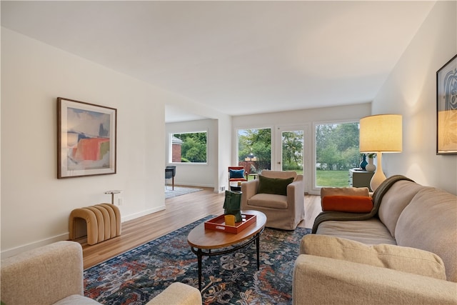 living room with hardwood / wood-style flooring