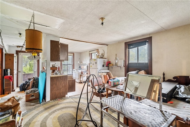 dining room featuring a textured ceiling and carpet