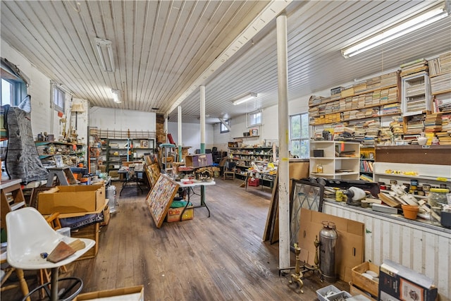 misc room with hardwood / wood-style floors, a workshop area, and a healthy amount of sunlight