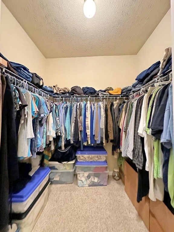 walk in closet featuring carpet floors