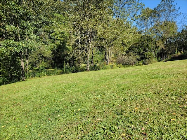 883 Bush Rd, Mahoning Twp, PA 15771 - photo 18