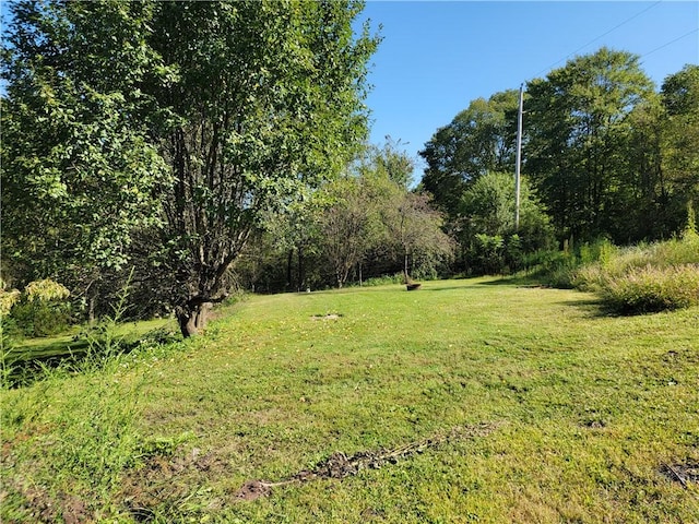 883 Bush Rd, Mahoning Twp, PA 15771 - photo 19