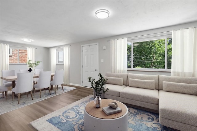 living room featuring hardwood / wood-style floors