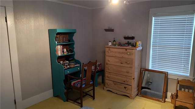 interior space featuring crown molding