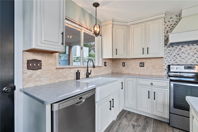 kitchen with decorative backsplash, stainless steel appliances, custom exhaust hood, hardwood / wood-style floors, and sink