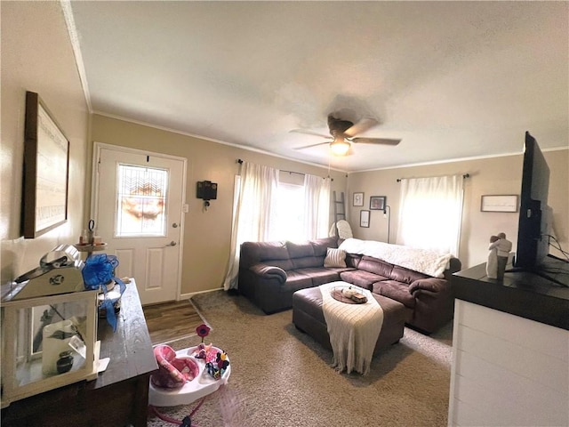 living room featuring hardwood / wood-style flooring, ceiling fan, and ornamental molding