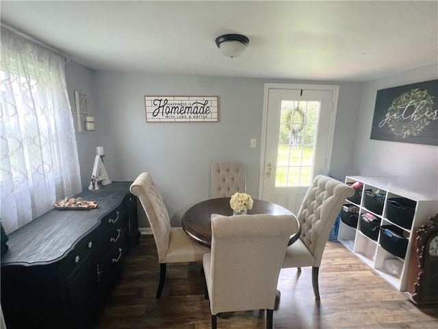 dining room featuring dark hardwood / wood-style flooring