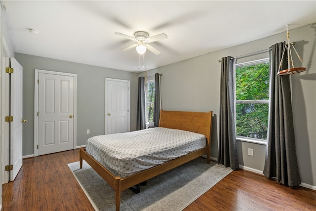 bedroom with multiple windows, two closets, dark hardwood / wood-style flooring, and ceiling fan