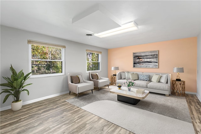 living room with wood-type flooring