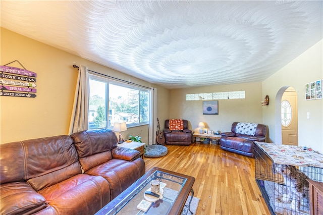 living room with light hardwood / wood-style floors