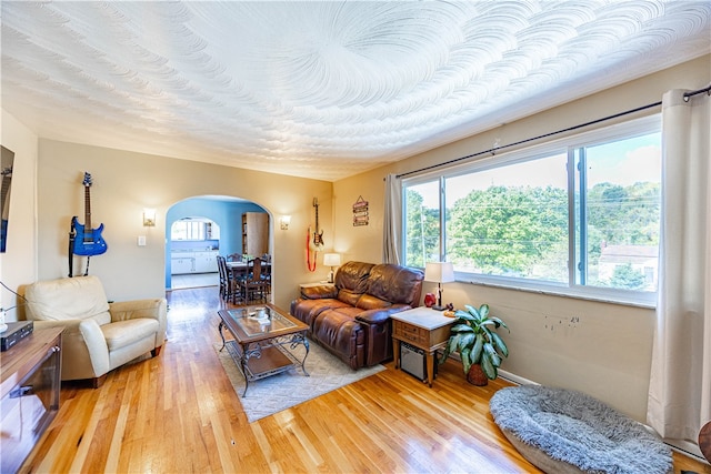 living room featuring light hardwood / wood-style flooring