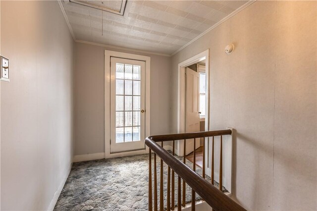 doorway to outside with crown molding and carpet floors