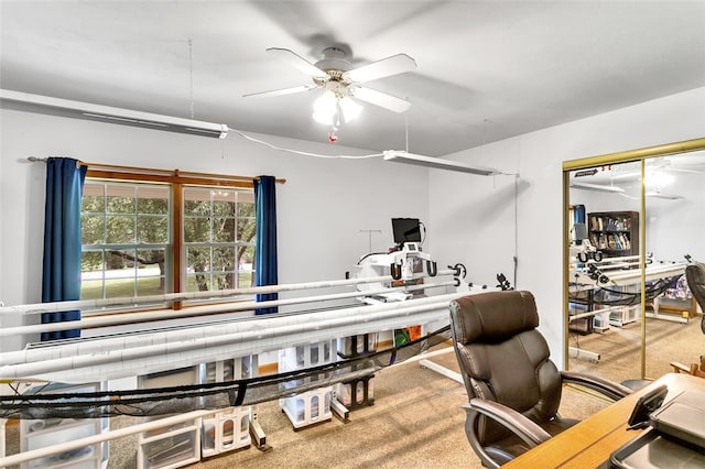 office featuring ceiling fan and carpet