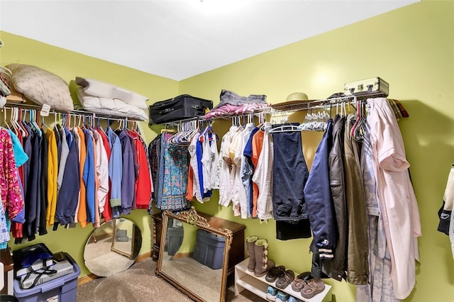 view of spacious closet