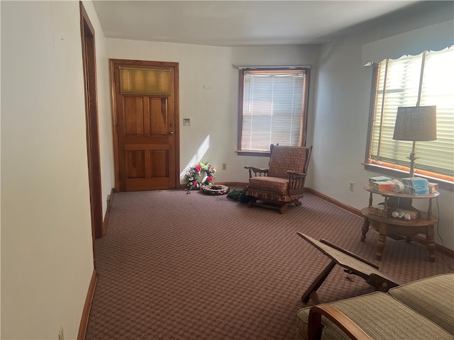 living area with carpet floors