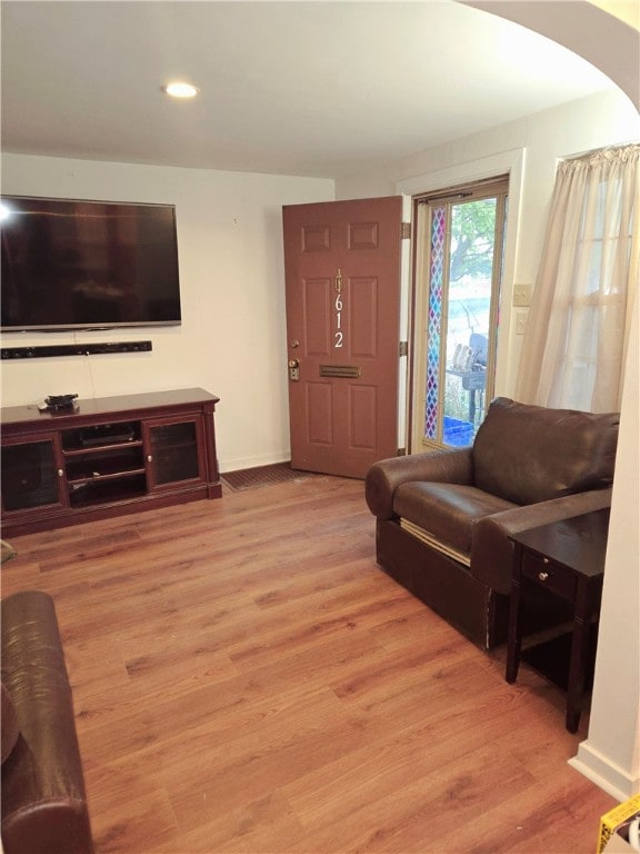 living room with hardwood / wood-style floors