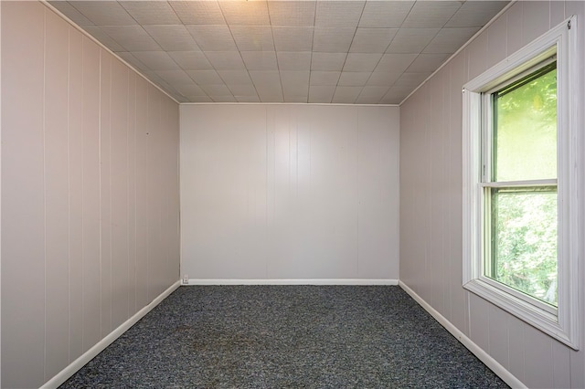 spare room with wooden walls, plenty of natural light, and carpet flooring