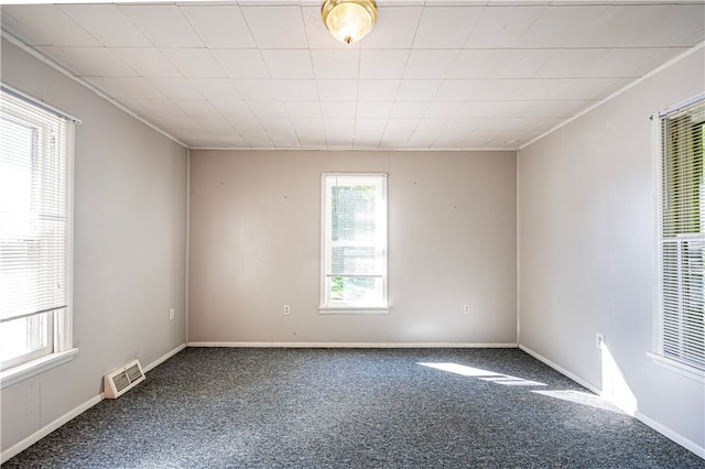 carpeted spare room with a healthy amount of sunlight