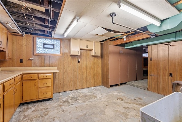 basement with wood walls