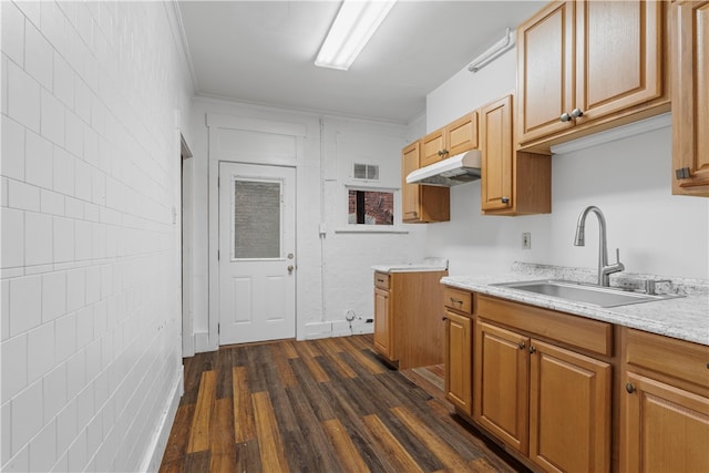 kitchen featuring light stone countertops, dark hardwood / wood-style floors, sink, and crown molding