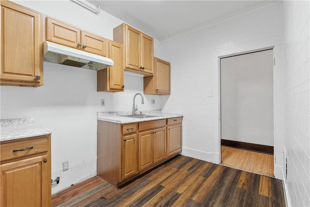 kitchen featuring light stone countertops, dark hardwood / wood-style floors, sink, and crown molding