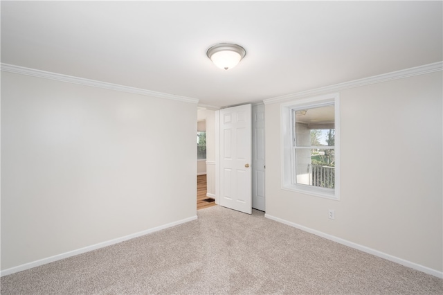 empty room featuring light colored carpet and crown molding